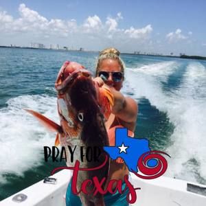 Meet your Posher, Kristy