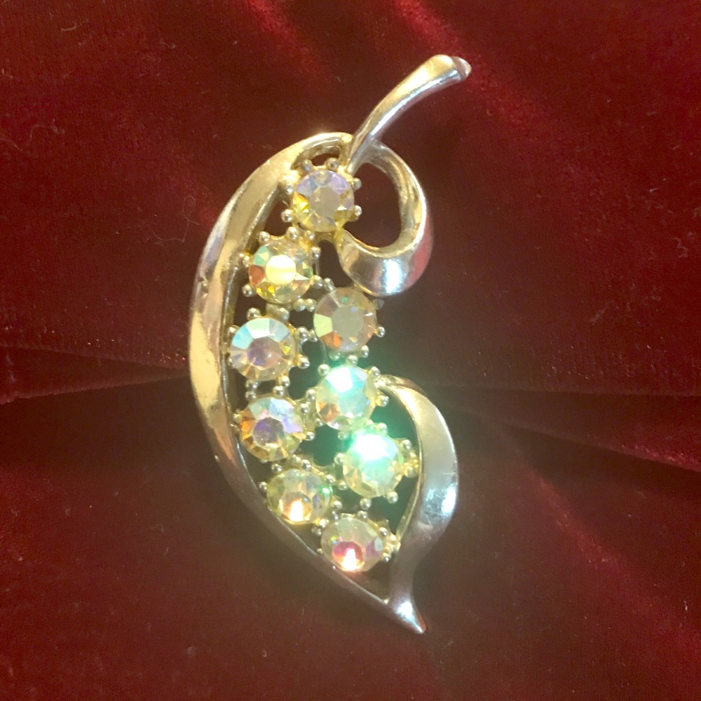 🌈🍃Embellished Brooch 🍃🌈