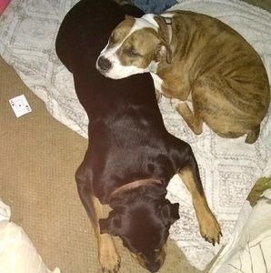 Meet your Posher, Kylee