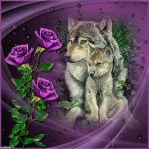 Meet your Posher, Vicki