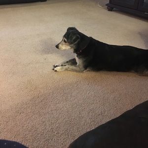 Meet your Posher, Sonya