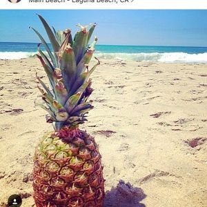 Meet your Posher, Jessie