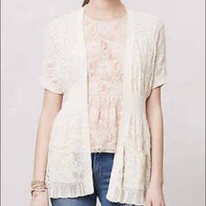 Angel of the North Pointelle Wisp Cardigan