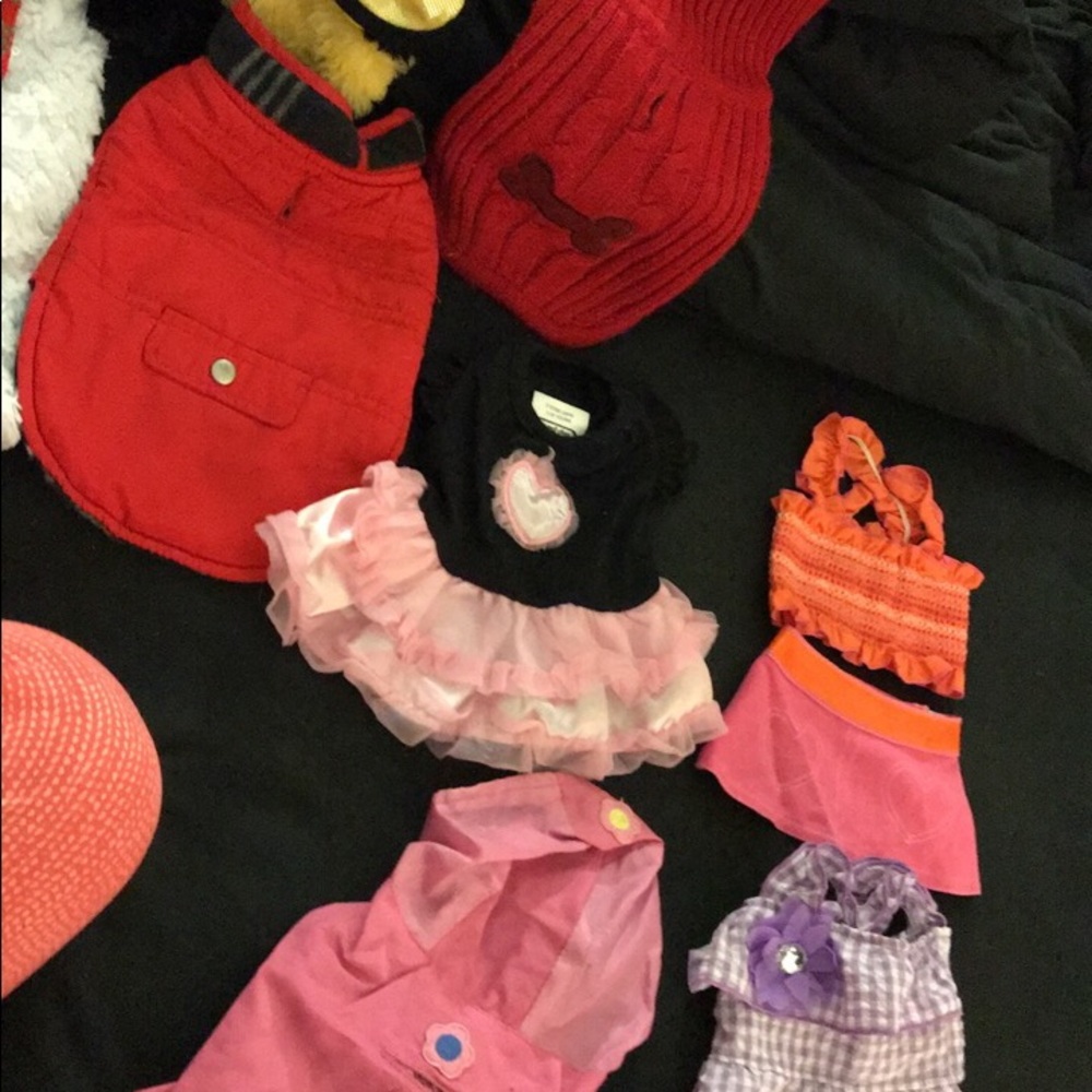 Doggy clothes (xs-s)