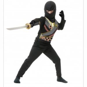 Ninja Avenger Halloween costume