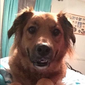 Meet your Posher, Caitlin