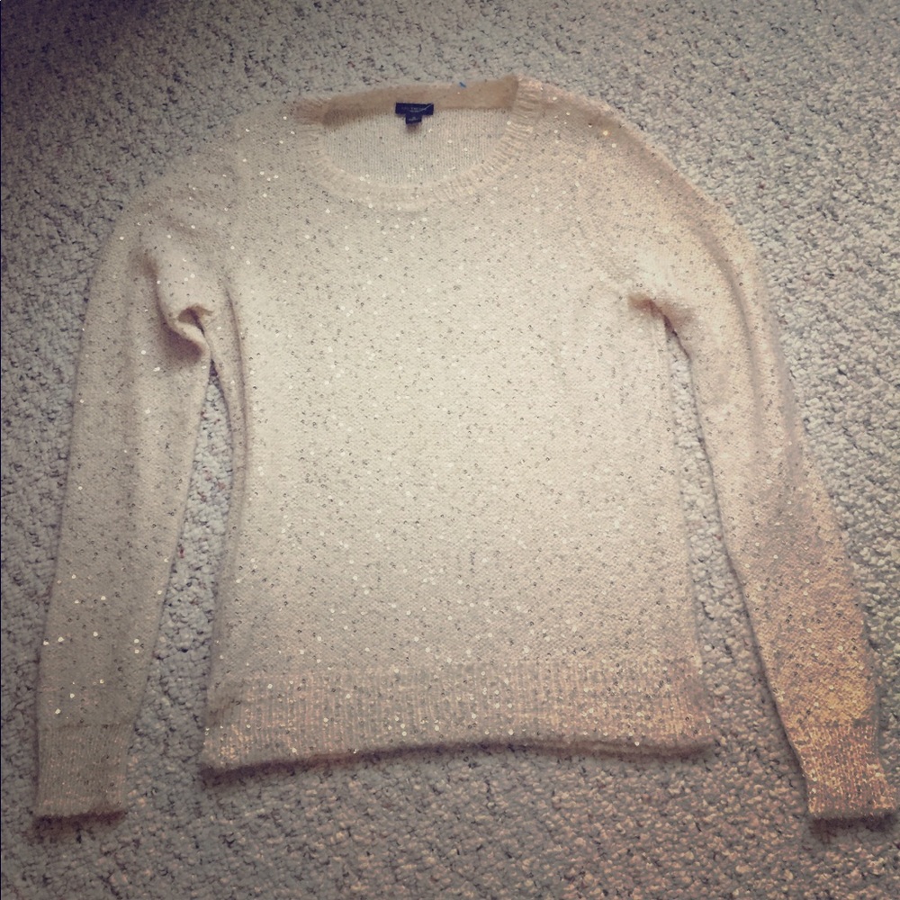Sparkly beautiful Ann Taylor Light Sweater