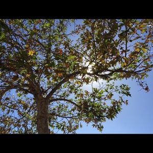 Meet your Posher, Christy