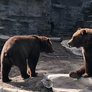 Meet your Posher, Patrick