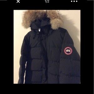 Grey  Canada Goose