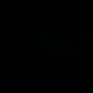 Meet your Posher, Consuela