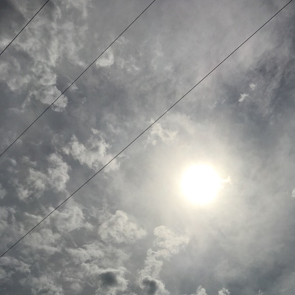 Meet your Posher, Justine - Picture 1 of 1