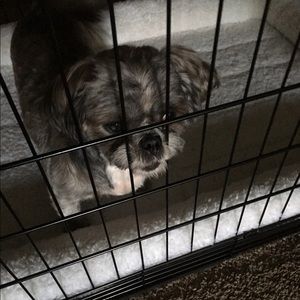 Meet your Posher, Barbara