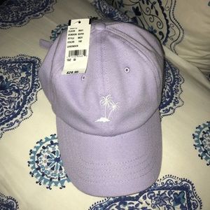 Vans hat