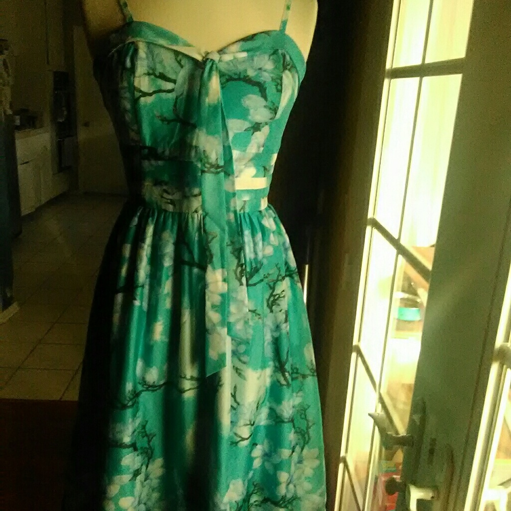 Ladies dress