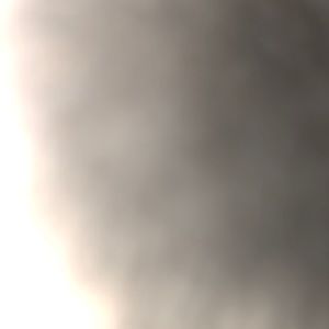 Meet your Posher, Dee