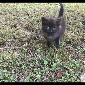 Meet your Posher, Nicole