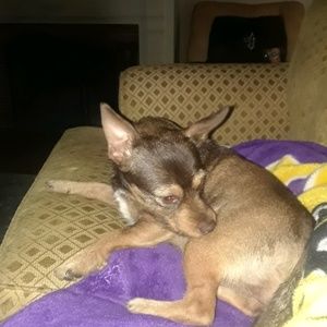 Meet your Posher, Jason