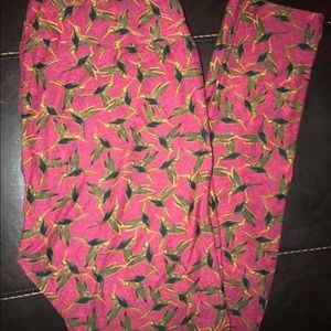 TC hummingbird lularoe leggings