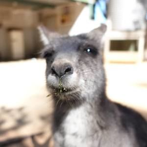 Meet your Posher, Becky