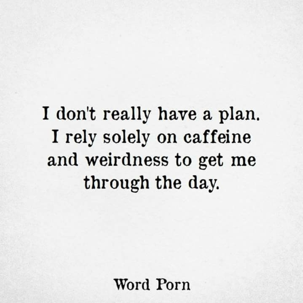 Meet your Posher, Heidi