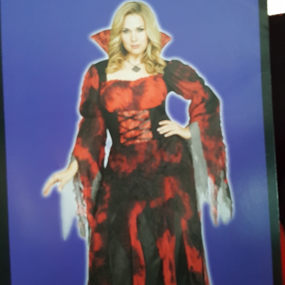 NWT Halloween Costume Plus Size 2X