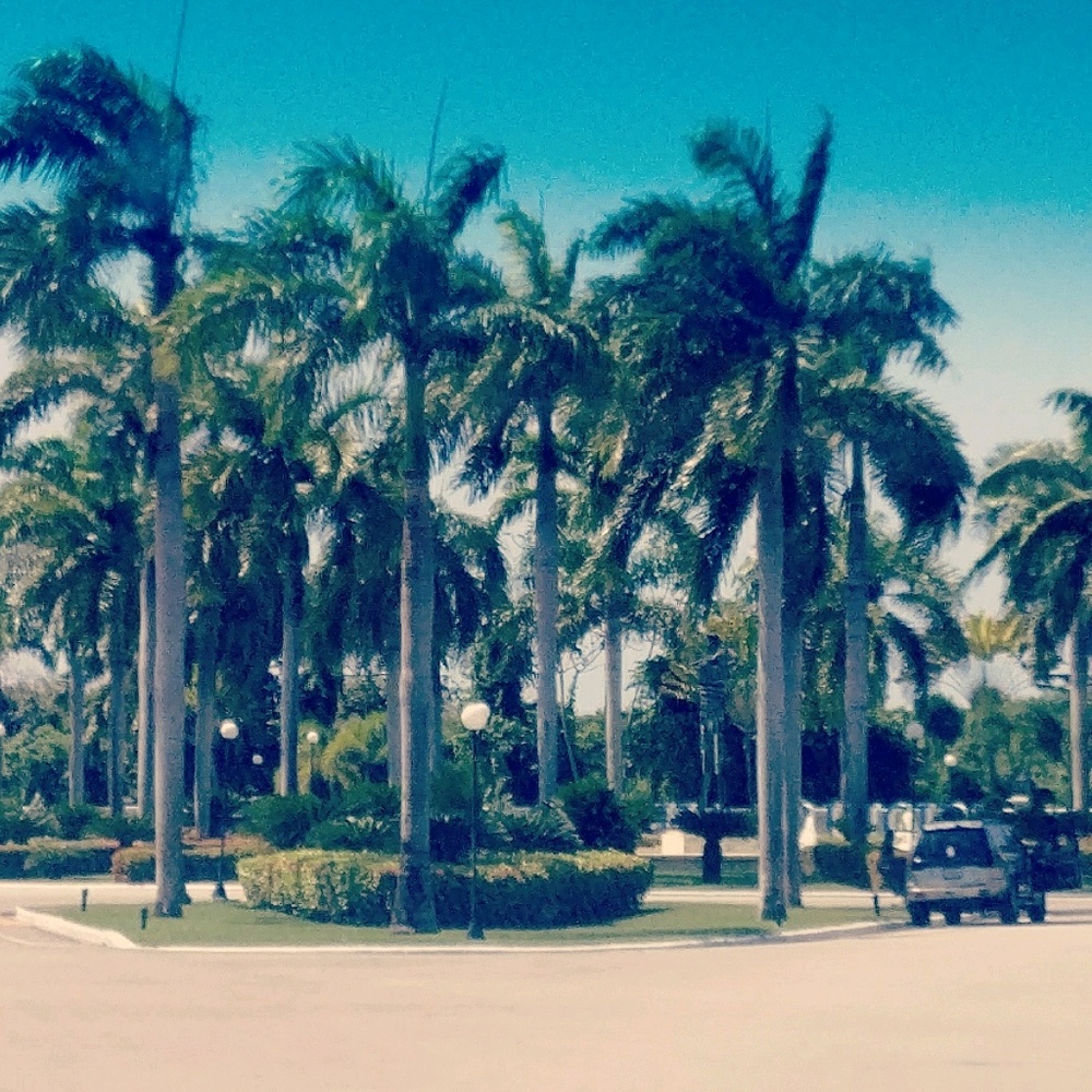 Meet your Posher, Candace