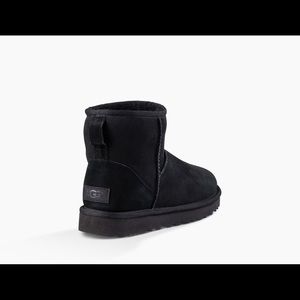 ISO Mini uggs or shorts uggs