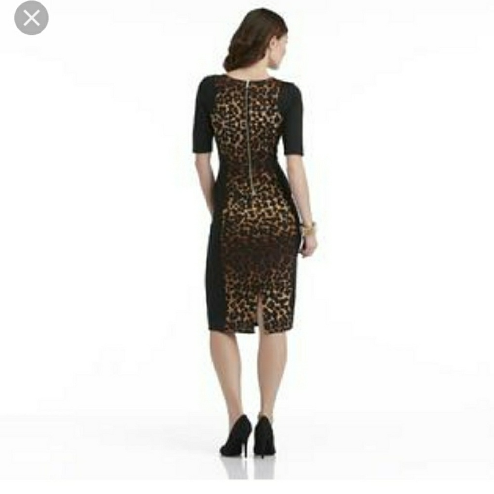 Women's panel  animal print dress - Picture 3 of 3