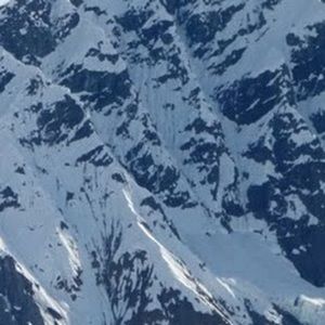 Meet your Posher, Will