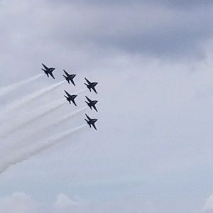 Meet your Posher, La tonya