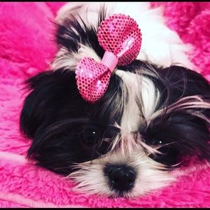 Meet your Posher, Marialisa