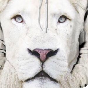 Meet your Posher, Hunter