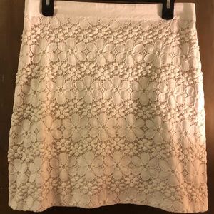 Loft lace skirt