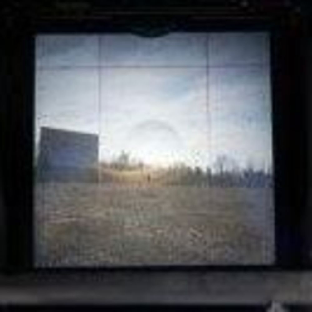 Meet your Posher, Molly