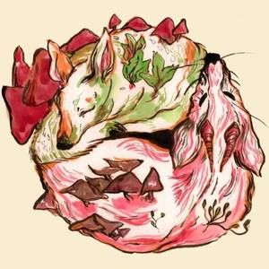 Meet your Posher, Joshua