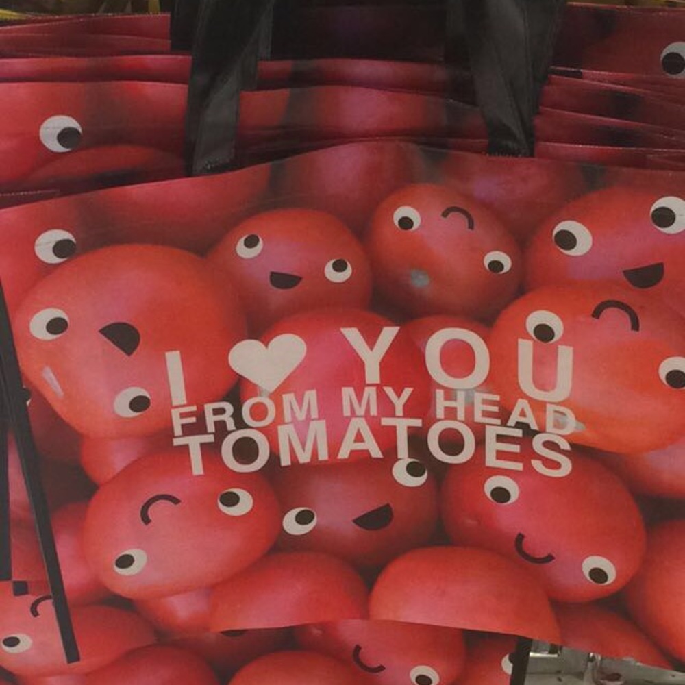 Meet your Posher, Lily