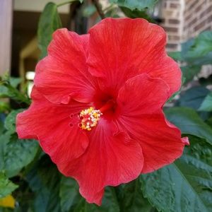 Meet your Posher, Eli5