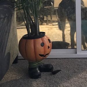 Meet your Posher, Jen