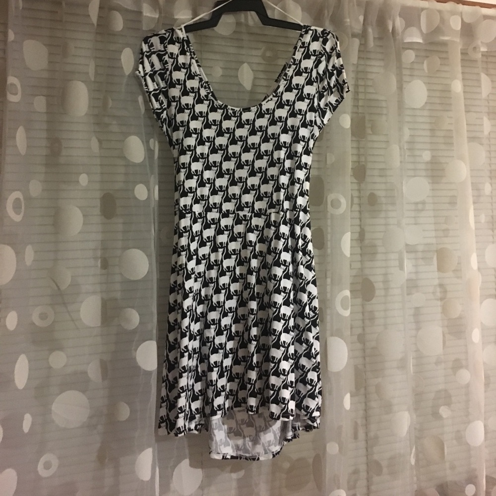 Black and White Cat Dress