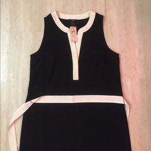 Ann Taylor dress