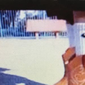 Meet your Posher, Sebastian