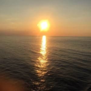 Meet your Posher, Jesse