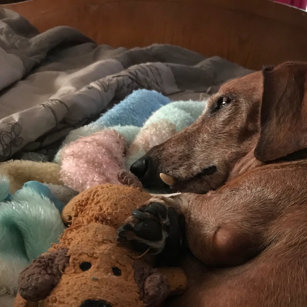 Meet your Posher, Ashley