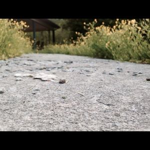 Meet your Posher, Aaron