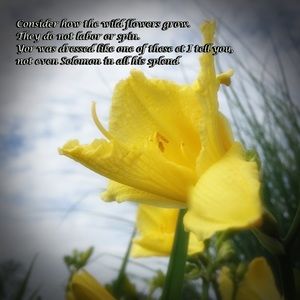 Meet your Posher, Peter