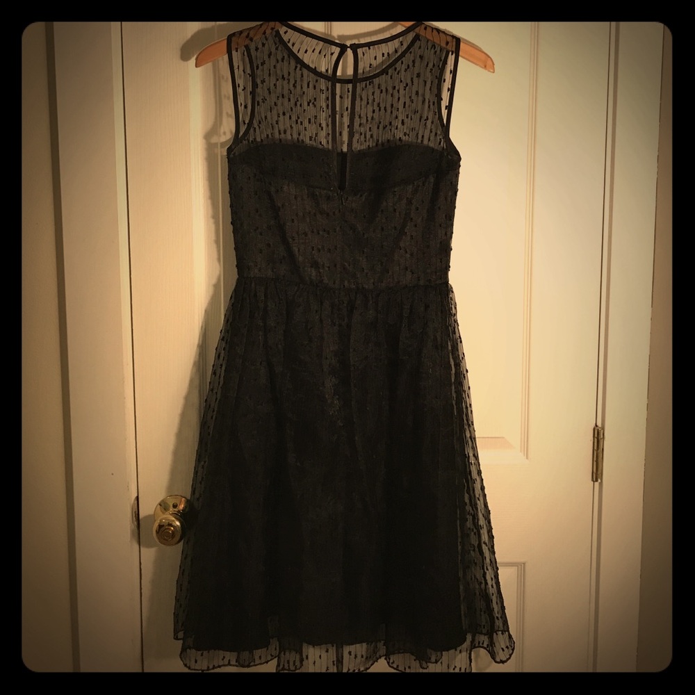 Beautiful little Black Dress