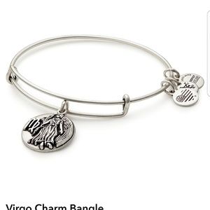 Alex &Ani bangle bracelet