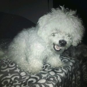 Meet your Posher, Chelsea