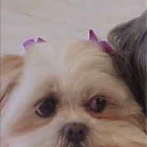 Meet your Posher, Edwin